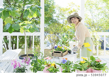 花に水やりする笑顔のシニア女性の写真素材