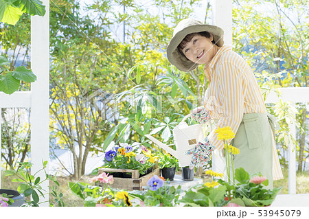 花に水やりする笑顔のシニア女性の写真素材