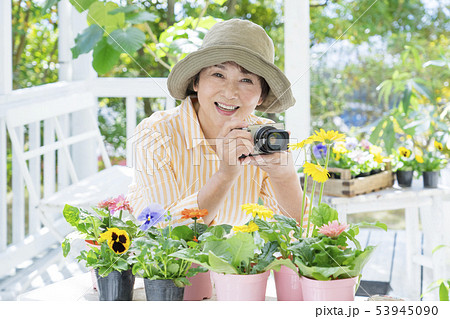 花の写真を撮るシニア女性 花の写真を撮るシニア女性 53945090