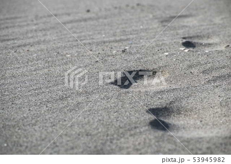 誰かの足跡 53945982