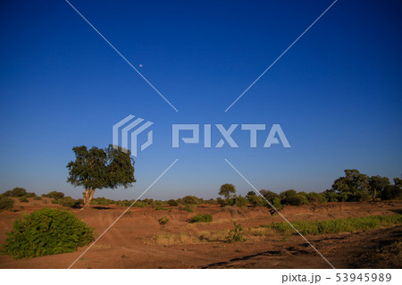 アフリカの風景 アフリカの風景 53945989