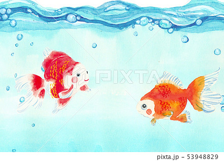 水の中を泳ぐ金魚の水彩イラストのイラスト素材 5394
