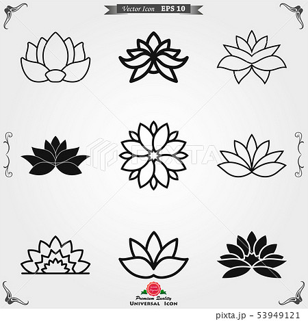 Lotus icon logo, illustration, vector sign symbol Lotus icon logo, illustration, vector sign symbol 53949121