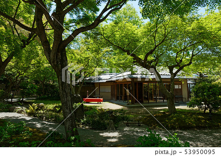 高台寺　雲居庵　 53950095