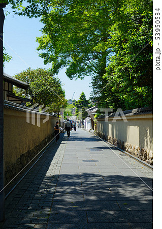 ねねの道 53950534