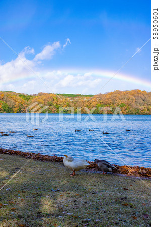 湖と虹と鳥14 湖と虹と鳥14 53950601