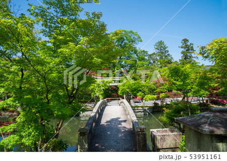 京都　永観堂　新緑 53951161