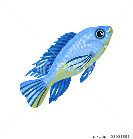 small fish light