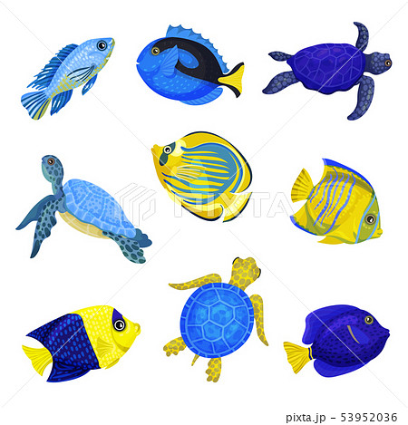 Set of exotic fish. Vector illustration on white background. Set of exotic fish. Vector illustration on white background. 53952036
