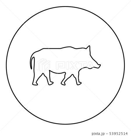 Wild Boar Wild Pig Hog Warthog Icon In Circleのイラスト素材 Wild Boar Wild Pig Hog Warthog Icon In Circleのイラスト素材