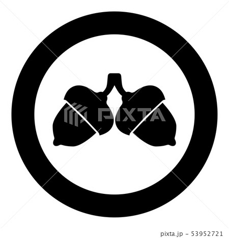 Two acorn icon in circle round black color vector  53952721