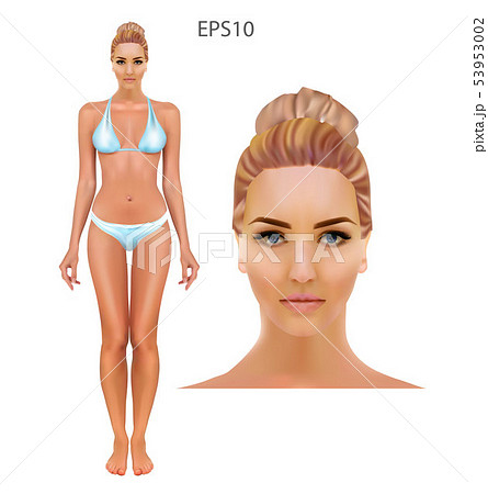 Vector illustration of woman in underwear on the white background. Vector illustration of woman in underwear on the white background. 53953002