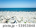 鳴り石の浜 53953848