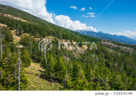 縞枯山(手前)・八ヶ岳連峰(奥)：北八ヶ岳ロープウェイ内より撮影　　　　茅野市 53954246