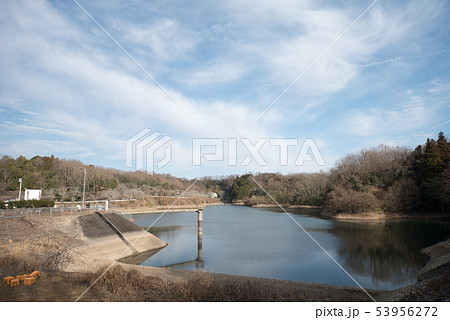 蜂谷調整池 53956272