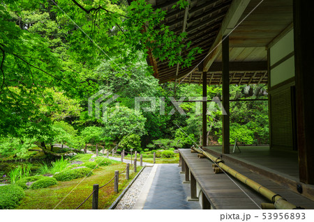 京都　南禅寺　南禅院の新緑 53956893