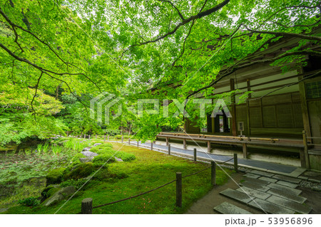 京都 南禅寺 南禅院の新緑 京都 南禅寺 南禅院の新緑 53956896