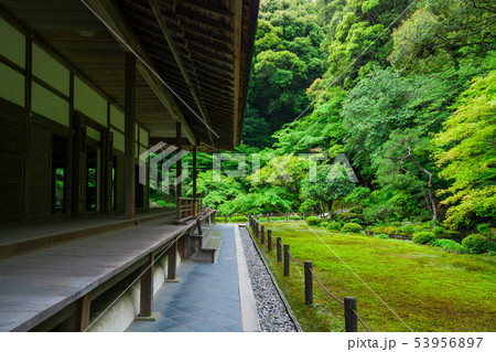京都　南禅寺　南禅院の新緑 53956897