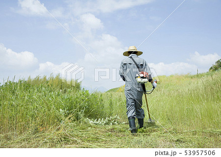 草刈り、除草イメージ　草刈りをする男性 53957506