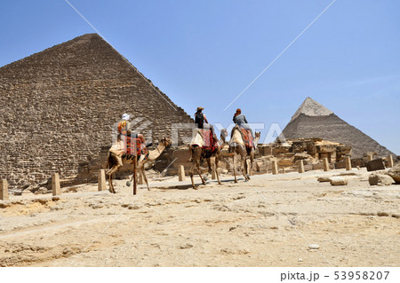 ラクダとピラミッド 53958207