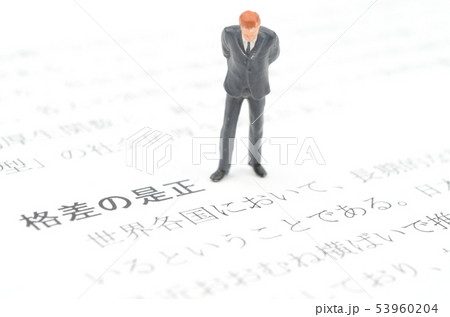 格差の是正 53960204