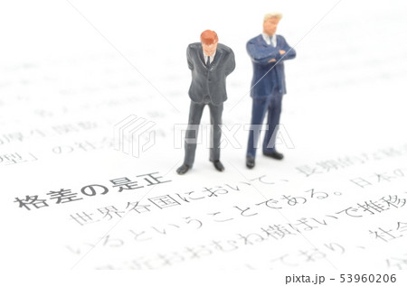 格差の是正 格差の是正 53960206