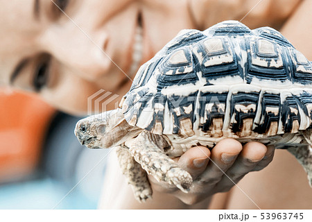 Woman with turtle Woman with turtle 53963745
