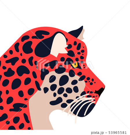 Wild jaguar animal on isolated background Wild jaguar animal on isolated background 53965581
