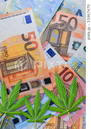 Close up of Marijuana on money. Cannabis or hemp 53967470
