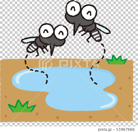水たまりに集まる蚊 53967666