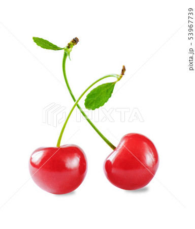 Two red cherries 53967739