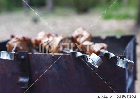 Meat skewers for kebabs grilled n grill on the 53968102