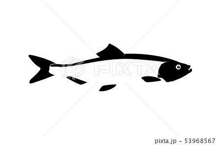 Black silhouette Herring baltic, fish for design 53968567