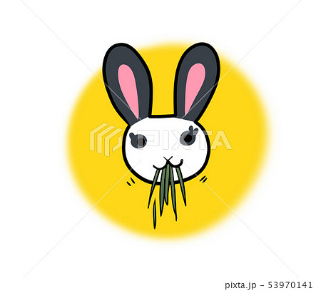 チモシーを食べるウサギの顔イラスト 黄色い丸背景 のイラスト素材