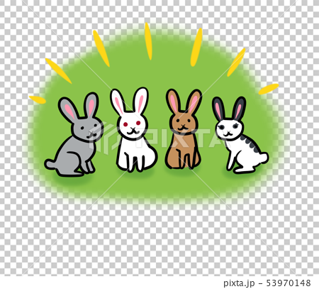 仲良し４匹のウサギ達の座談会イラスト 緑の丸背景 のイラスト素材