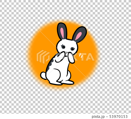 顔をむにむにするウサギのイラスト オレンジ色の丸背景 のイラスト素材