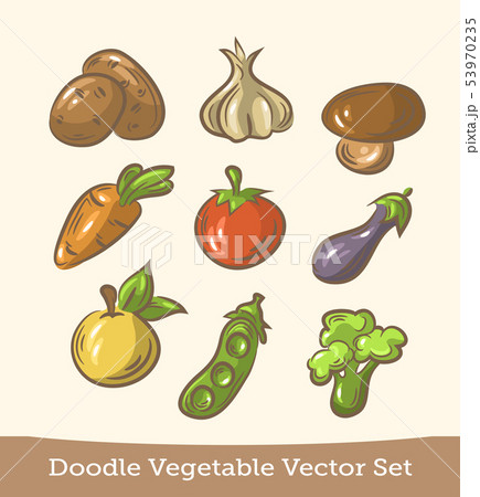 vegetable set doodle isolated on white background. Vector 53970235