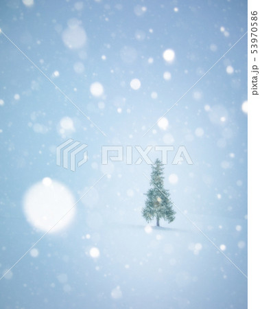 冬の美瑛 53970586