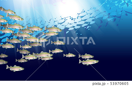 School of pink salmon fish. Marine life. Vector School of pink salmon fish. Marine life. Vector 53970605