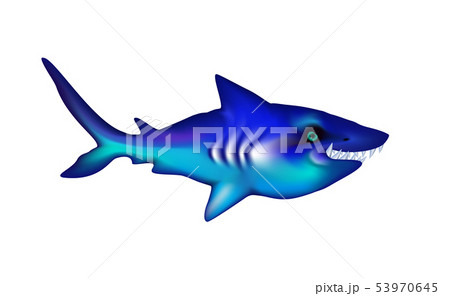 Shark with big teeth. Cartoon blue funny isolated 53970645