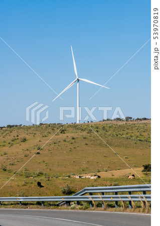 Windmill on a clear blue sky in the Sierra del Merengue next to a meadow with cows in Plasencia. 53970819