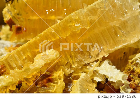 蜂箱から取り出し直後の巣蜜　クローズアップ　素材　背景 53971536