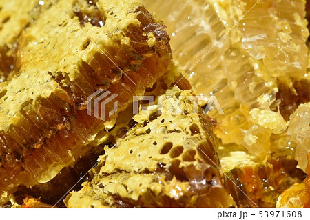蜂箱から取り出し直後の巣蜜　クローズアップ　素材　背景 53971608