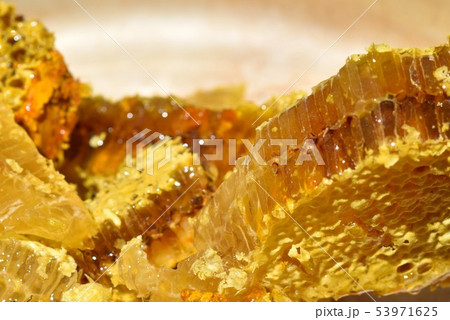 蜂箱から取り出し直後の巣蜜　クローズアップ　素材　背景 53971625