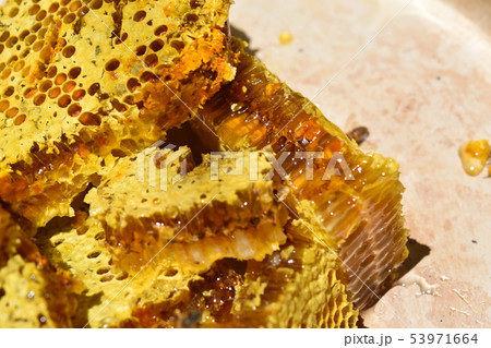 蜂箱から取り出し直後の巣蜜　クローズアップ　素材　背景 53971664