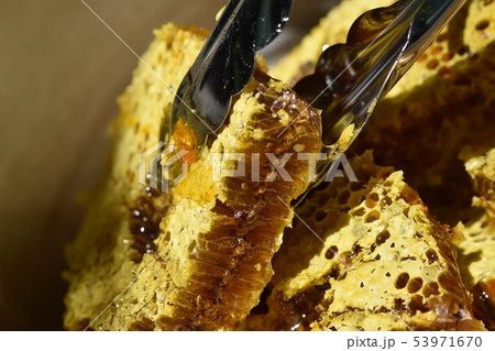 蜂箱から取り出し直後の巣蜜　クローズアップ　素材　背景 53971670