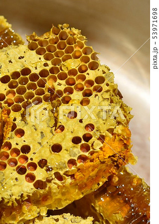 蜂箱から取り出し直後の巣蜜　クローズアップ　素材　背景 53971698