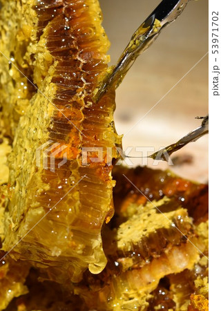 蜂箱から取り出し直後の巣蜜　クローズアップ　素材　背景 53971702