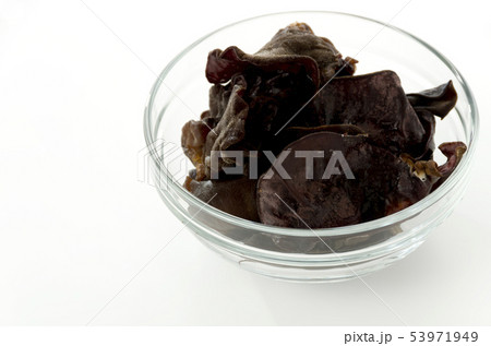 生きくらげ 生きくらげ 53971949