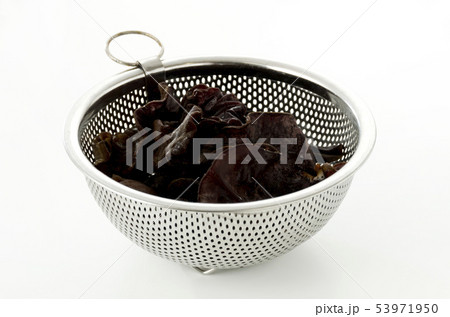 生きくらげ 生きくらげ 53971950